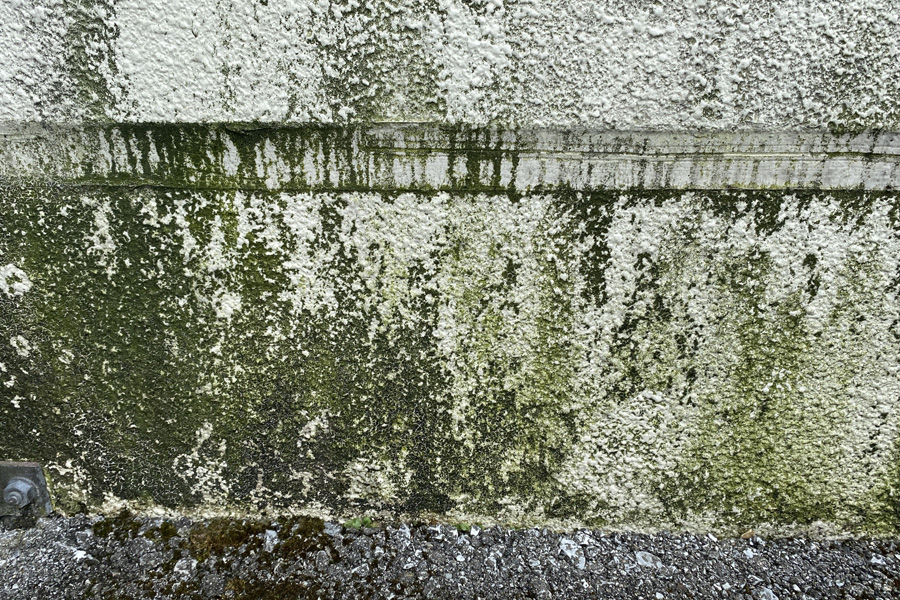 汚れ（カビ・コケ）がある